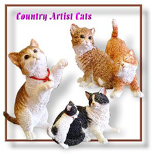 Country Artist