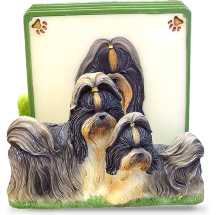 Shih-tzu