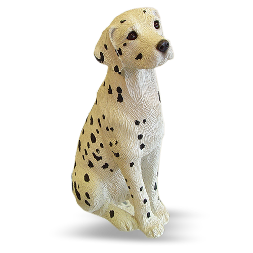 Dalmatian