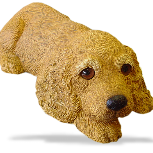 Cocker Spaniel