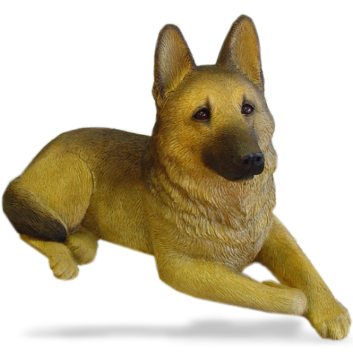 German Shepard