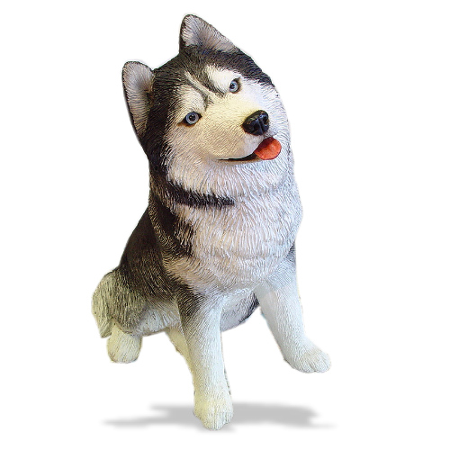 Husky