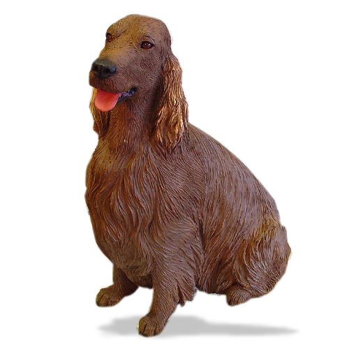 Irish Setter