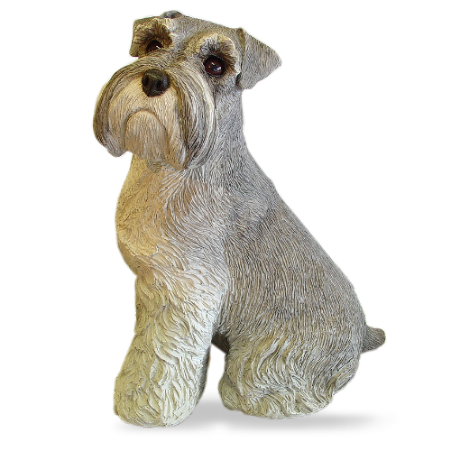 Schnauzer