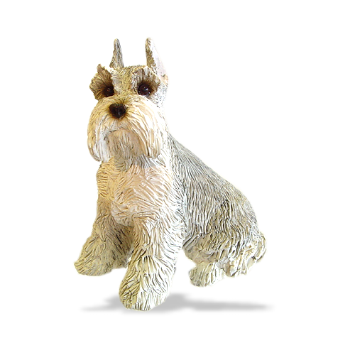 Schnauzer