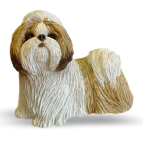 Shih-tzu