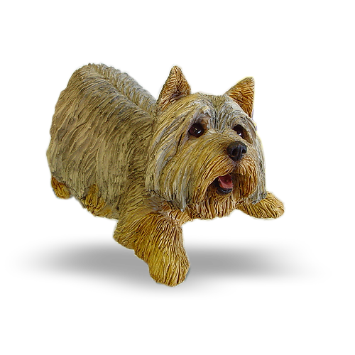 Yorkie