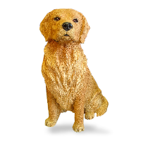 Golden Retreiver, 9"