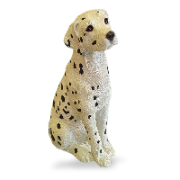 Dalmatian